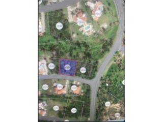 Lote de 950m2 Calle cedro #2