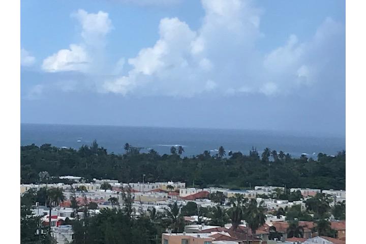 Royal Palm Puerto Rico