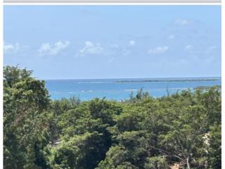 El Pen Puerto Rico
