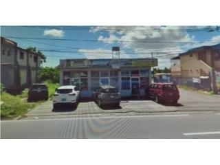 Galeria