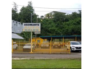Galeria