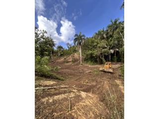 7 Cuerdas Barrio Abras Corozal
