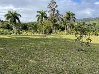 Lares Puerto Rico