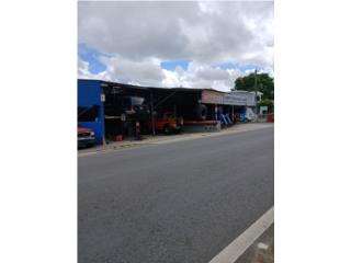 Galeria
