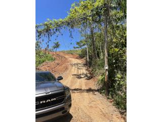Finca 22.5 cds Bo. Montoso Mayaguez 