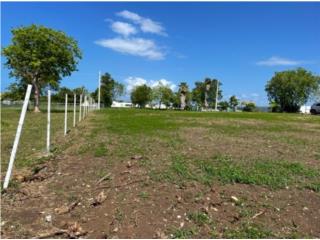 TERRENO BARRIO ISLOTE ARECIBO