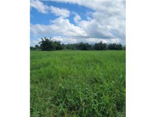 Venta finca en Arecibo