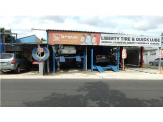 Galeria