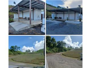 Barranquitas Desvo Zayas Green