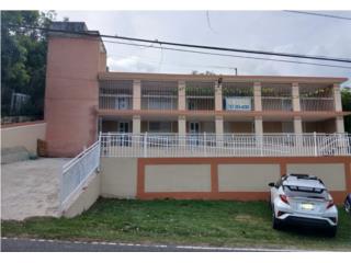 Galeria