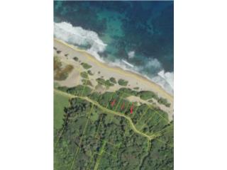 Solares en venta, 8 lotes de 2,000 mts c/u
