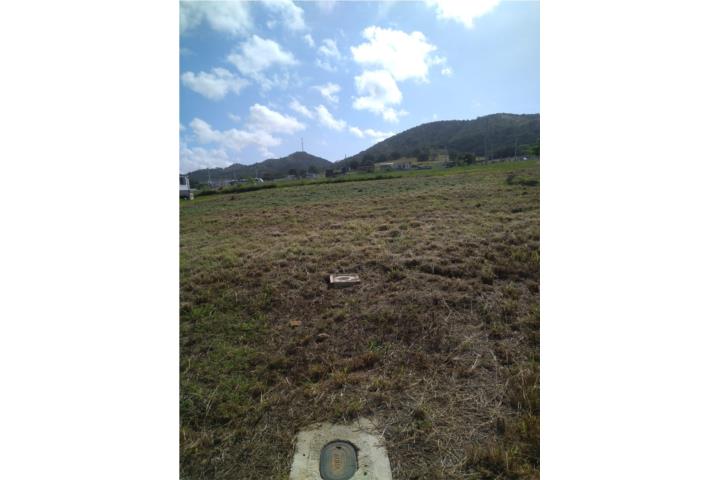 Llanos Costa Puerto Rico