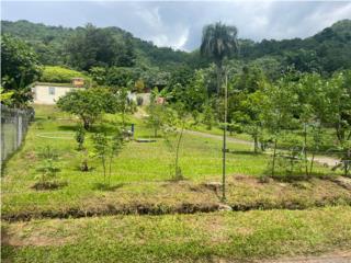 Residencia en Bo. Don Alonso