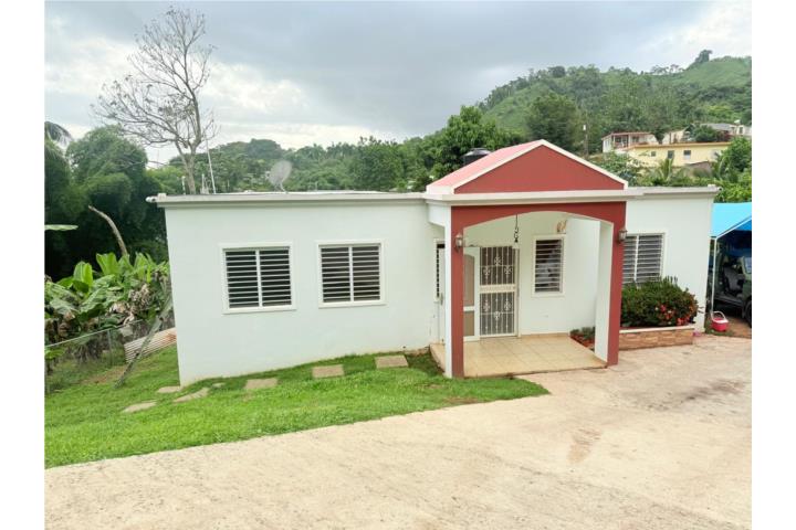 Guacio Puerto Rico