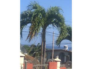 Barrio Piedras Blancas, Aguada Puerto Rico 