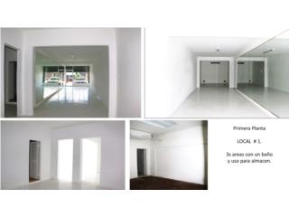 Galeria