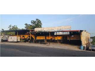 Galeria