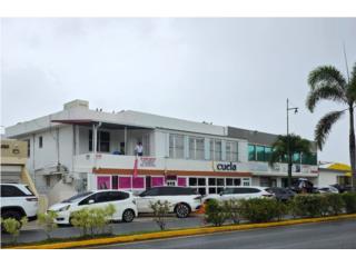 Galeria