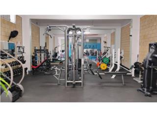 Galeria