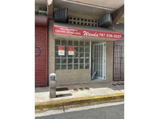 Galeria