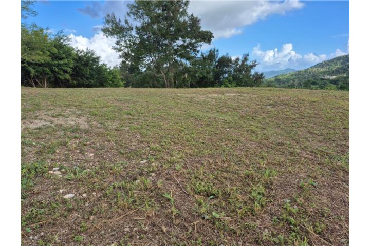 Extension Twins Caguas