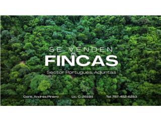 Se Vende Finca – Adjuntas, PR