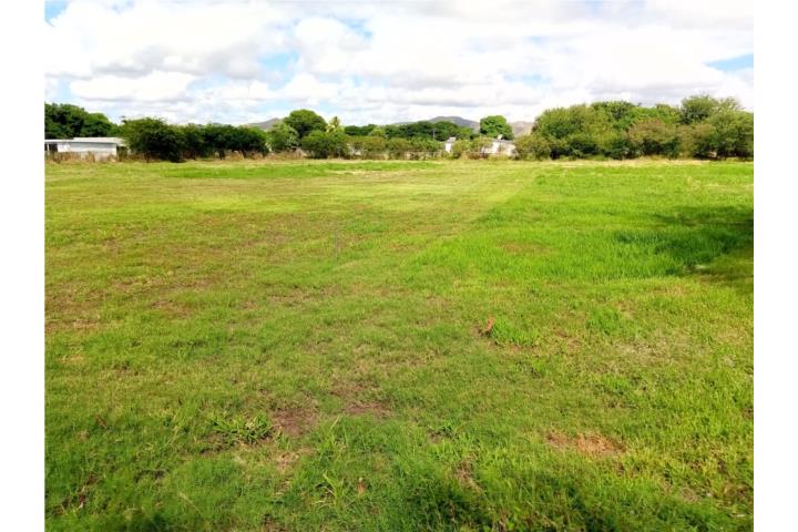 Godreau Puerto Rico Salinas