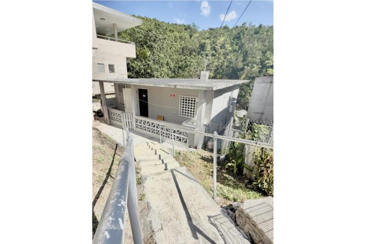 Paloma Puerto Rico Comerío