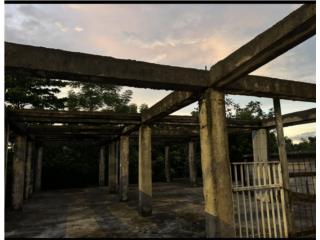 Galeria