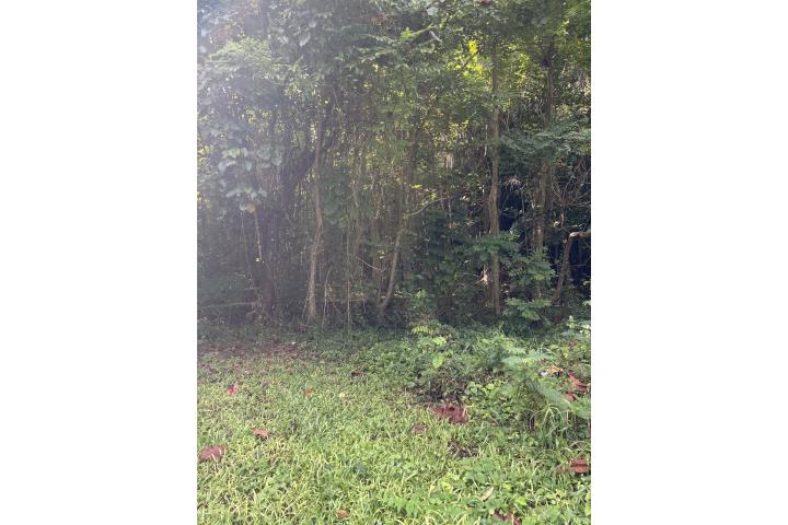 Almirante Puerto Rico Vega Baja