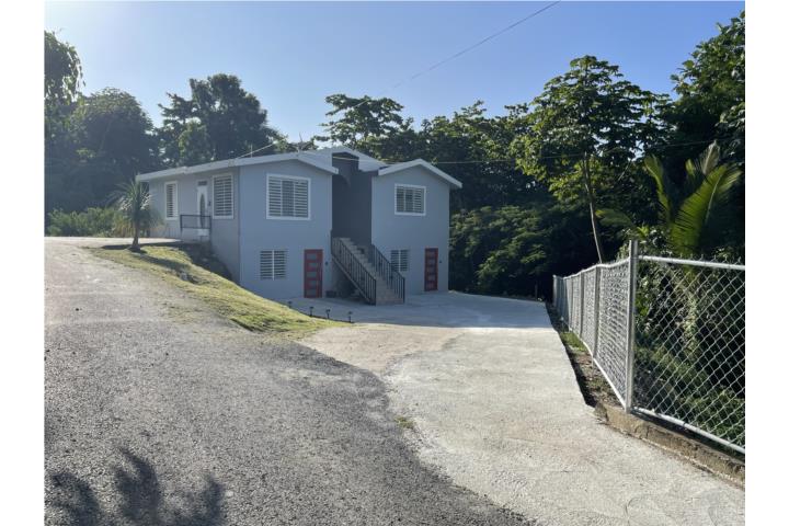 Palmar Puerto Rico Aguadilla