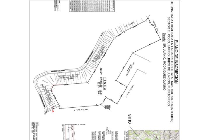 Lirios Puerto Rico Juncos