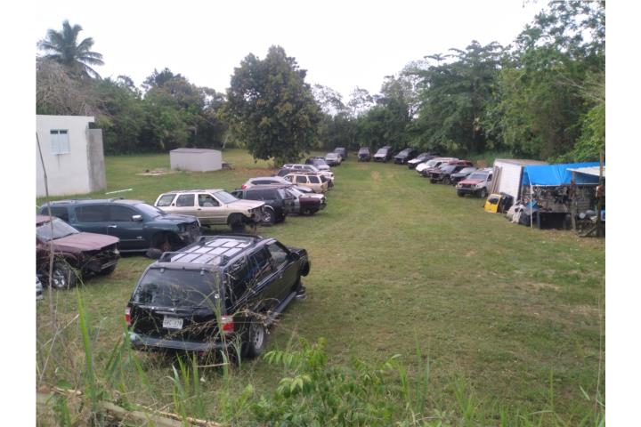 Palomar Puerto Rico Camuy