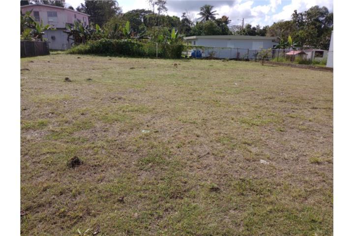 Franquez Puerto Rico Morovis