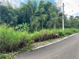 VENTA DE 2 TERRENOS $65,000 C/U HORMIGUEROS