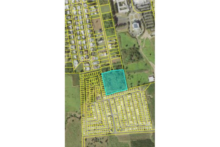 Machete Puerto Rico Guayama