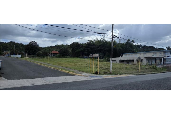 Manantiales Puerto Rico Mayagüez