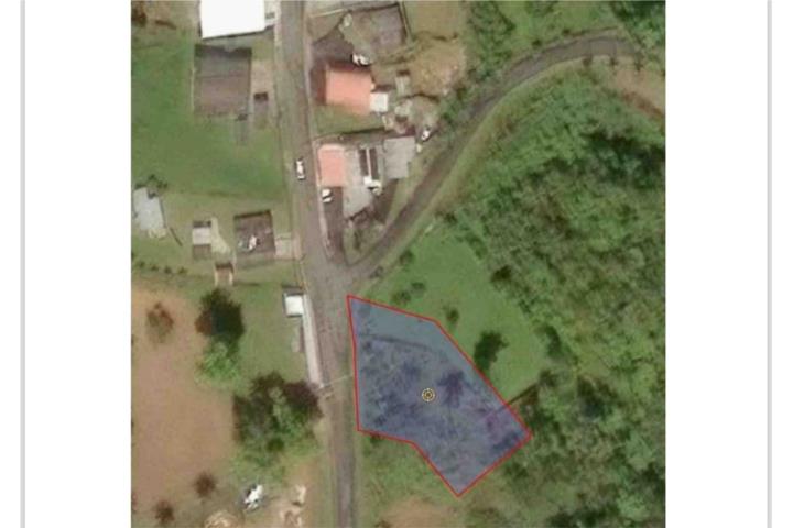 Cidra Puerto Rico Cidra