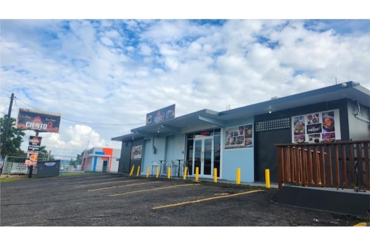 Culebrinas Puerto Rico San Sebastián