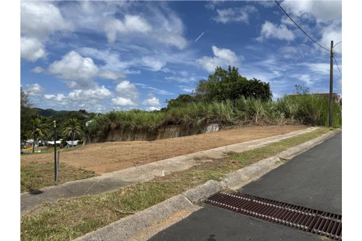 Palmarejo Puerto Rico Corozal