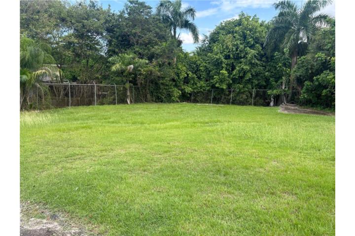 Frailes Puerto Rico Guaynabo