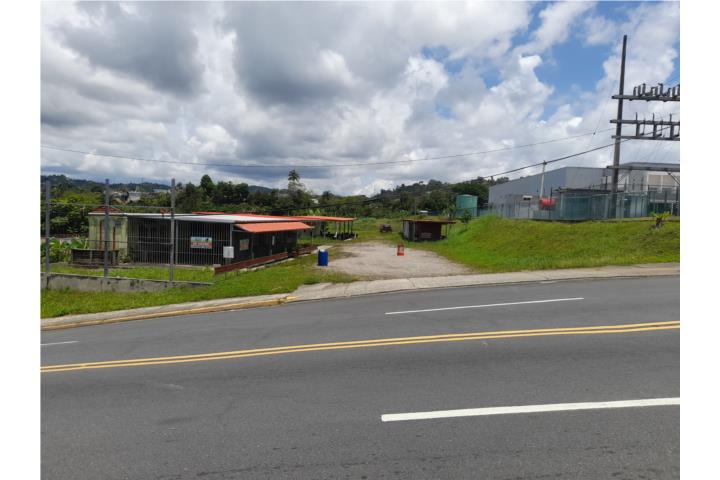 Pueblo Puerto Rico Cidra