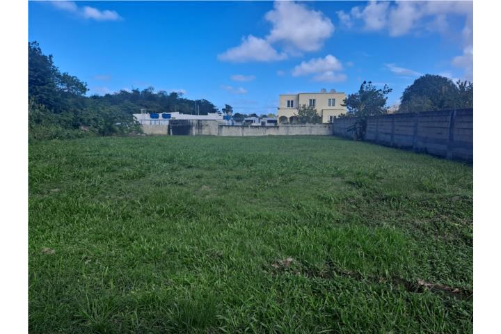 Tanama Puerto Rico Arecibo