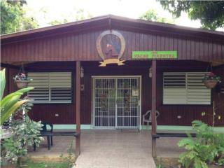 Galeria