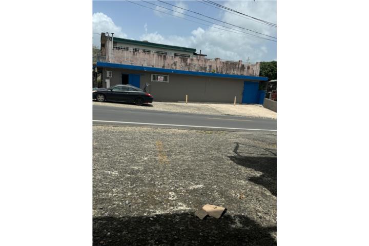 Cedros Puerto Rico Carolina