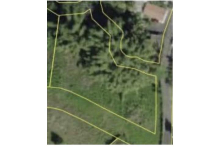 Cuchillas Puerto Rico Moca