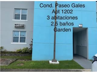 Galeria
