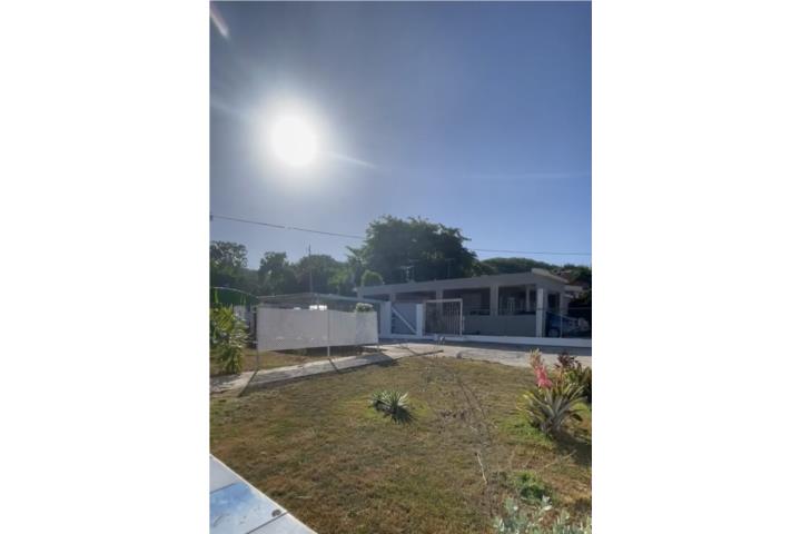 Atenas Puerto Rico Manatí