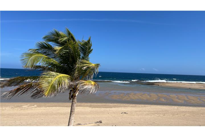 Jobos Puerto Rico Isabela