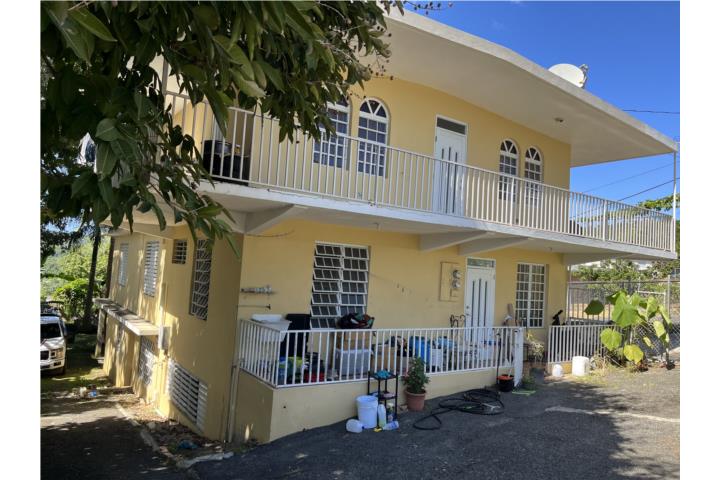 Cuchillas Puerto Rico Moca